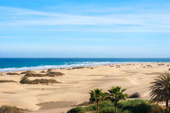 Kuva artikkelista Valitse suosikkisaaresi? Gran Canaria vai Teneriffa?